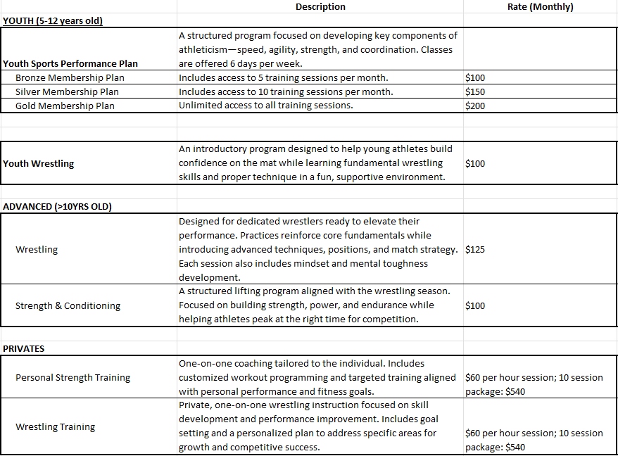 TeamSpace by Ocean -- included with Rebel Training membership